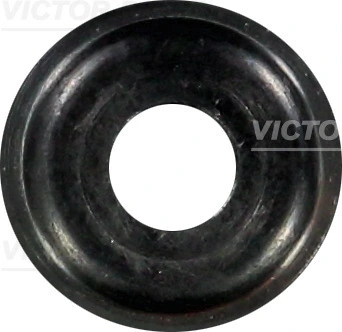 Seal Ring, valve stem